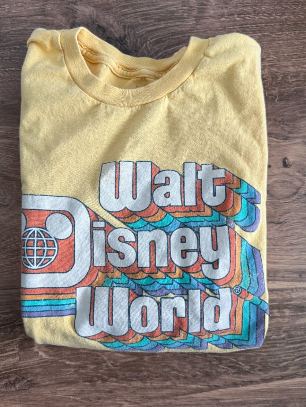 Disney Parks Retro Rainbow Walt Disney World Tee Small - Picture 2 of 6